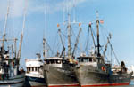 Boats in Marina